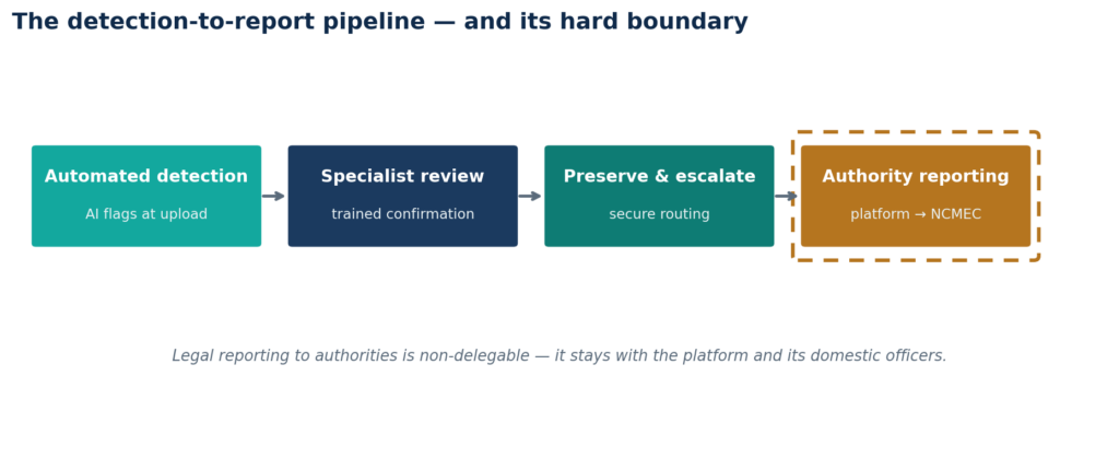 The detection-to-report pipeline and its boundary