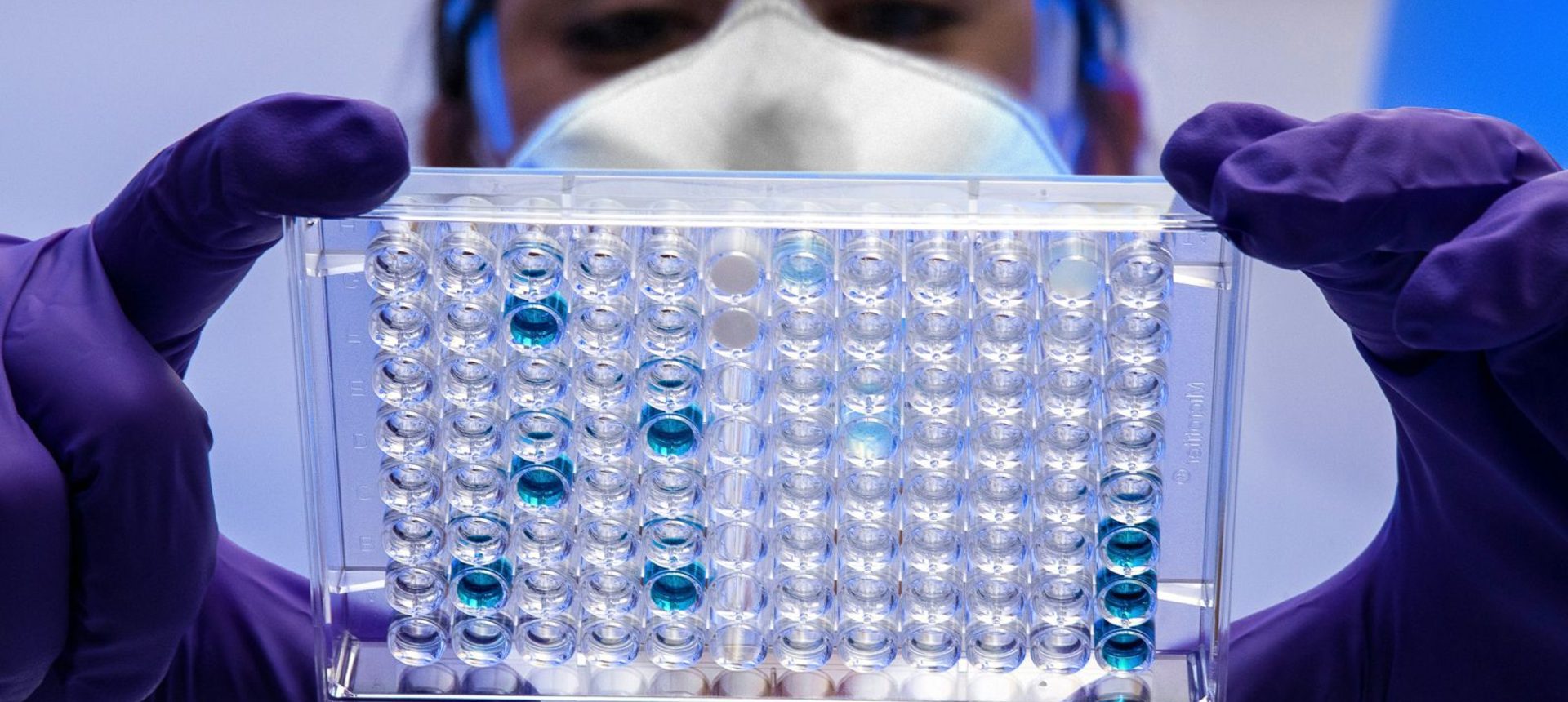 Researcher in mask and gloves holding up a well plate of assay samples
